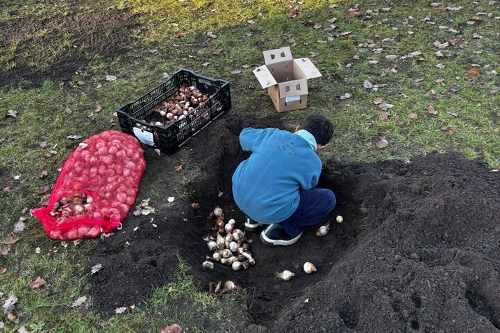 Kinder der Grundschule beim der Pflanzaktion