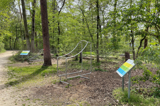 Ausschnitt Ansicht Bewegungspark