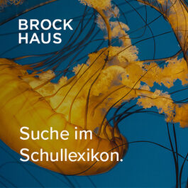 Brockhaus Schullexikon