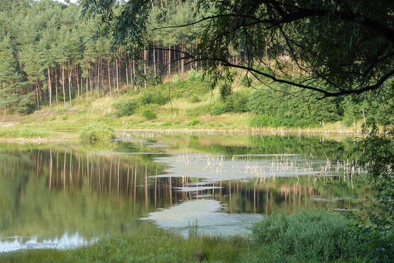 Gehspitzweiher teaser