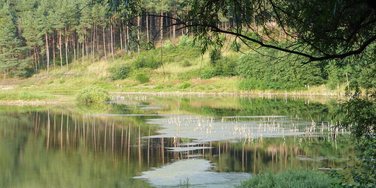 Gehspitzweiher teaser