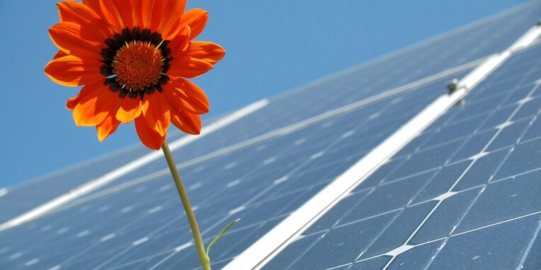 Solardach mit einer orangefarbenen Blume als Symbol