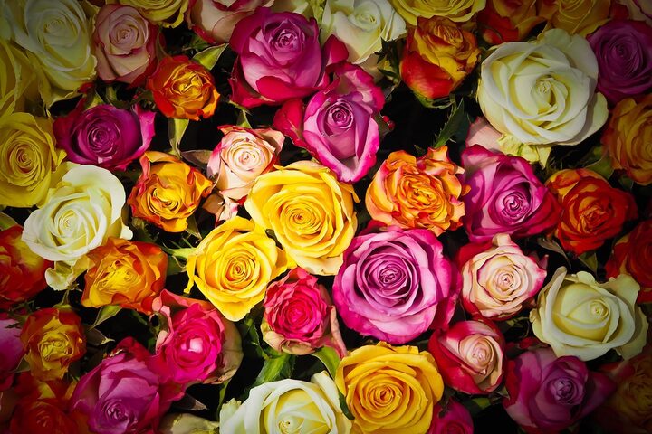 Bouquet von bunten Rosen