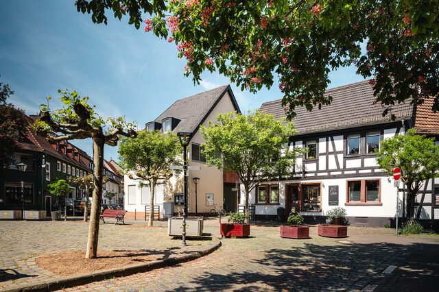 Auschnitt des Marktplatzes in Neu-Isenburg mit blauem Himmel, Baumbestand, Blumenkübel und Wohn-und Fachwerkhäuser im Hintergrund
