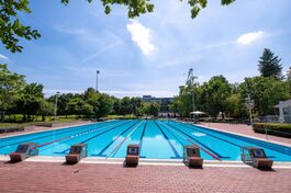 WaldSchwimmbad-Schwimmerbecken