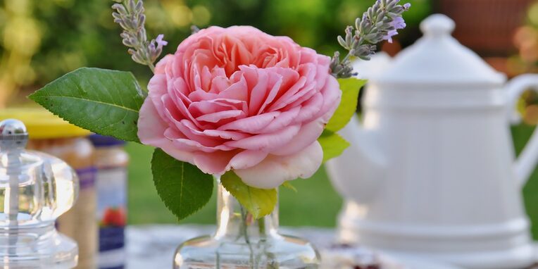 Gedeckter Frühstückstisch mit einer Rose im Vordergrund