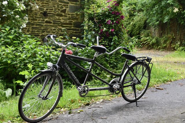 Ein schwarzes Tandem-Fahrrad auf einem Waldweg vor einer Steinmauer