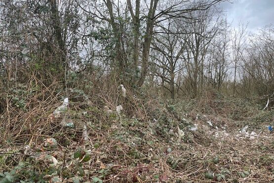 Verteilter Müll im Gebüsch