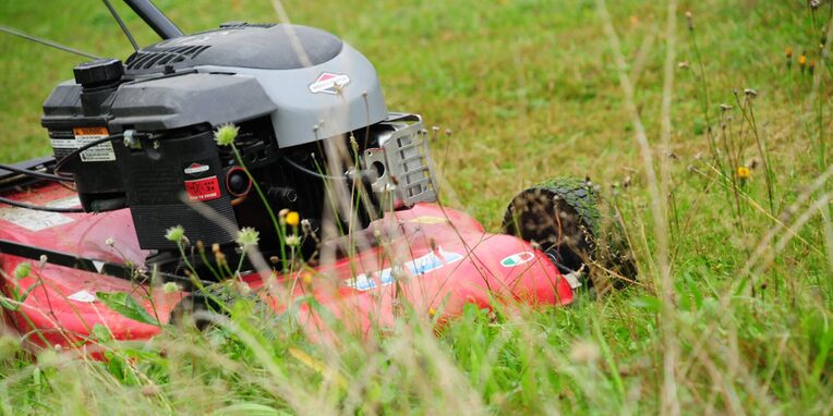 Ein roter Rasenmäher auf einer Graswiese beim Mähen