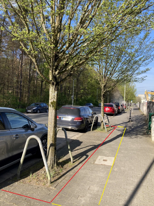 Bäume in der Rathenaustraße