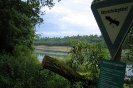 Blick auf das Naturschutzgebiet am Gehspitzweiher