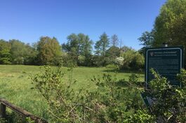 Fauna-Flora-Habitat Erlenbachaue bei Neu-Isenburg