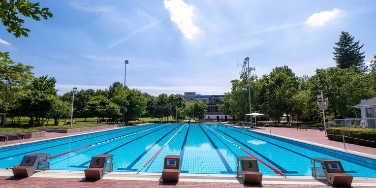 Schwimmerbecken Waldschwimmbad