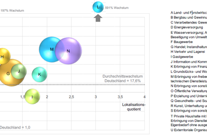 Branchenportfolioanalyse