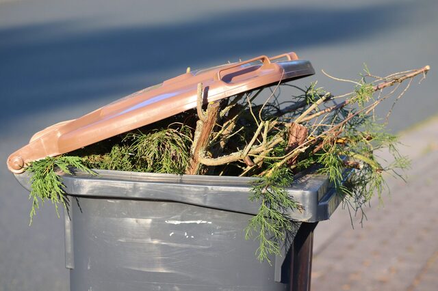 Mülltonne gefüllt mit Gartenmüll
